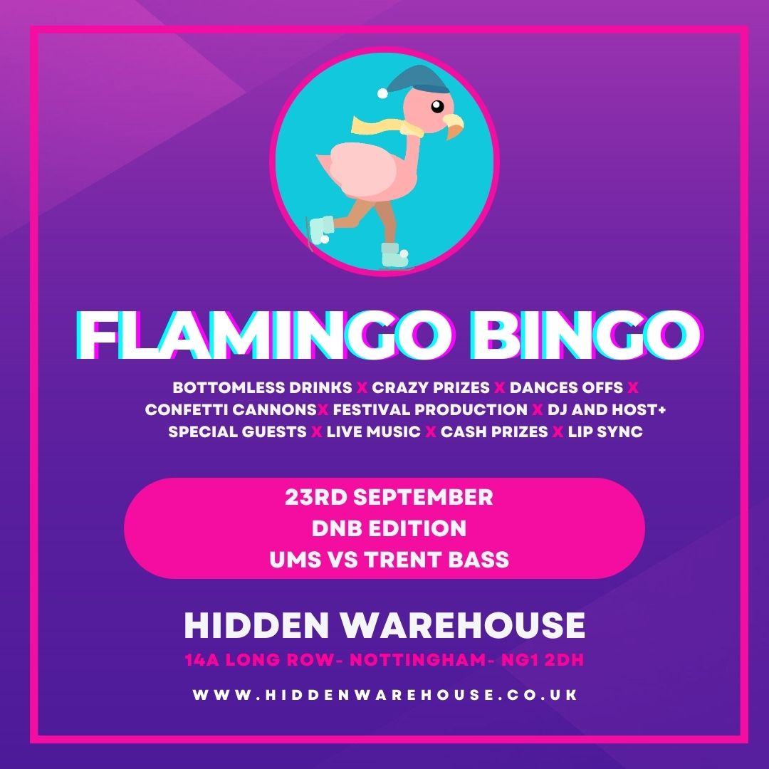 1466493_1_flamingo-bingo-dnb-edition-_eflyer