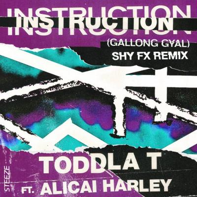 Toddla T - Instruction Ft. Alicai Harley (Shy FX Remix)